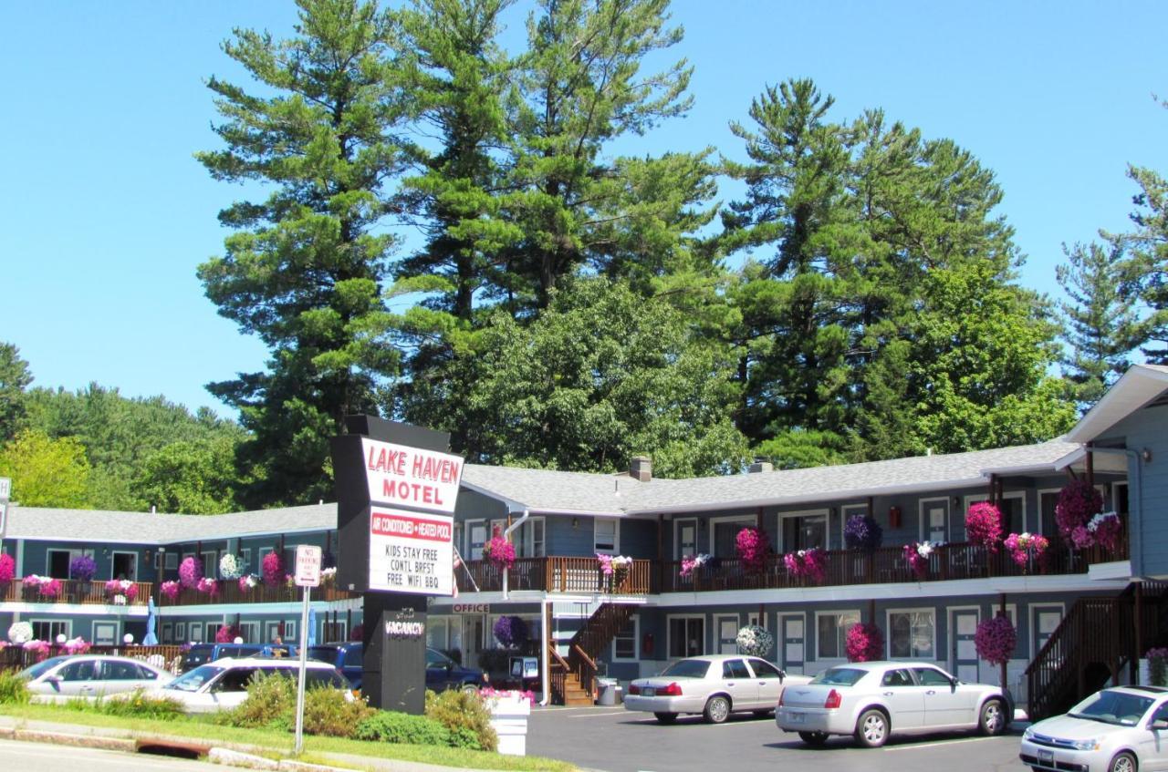 Lake Haven Motel 乔治湖 外观 照片